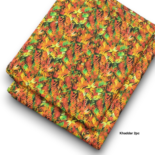 Vintage Khaddar 2pc